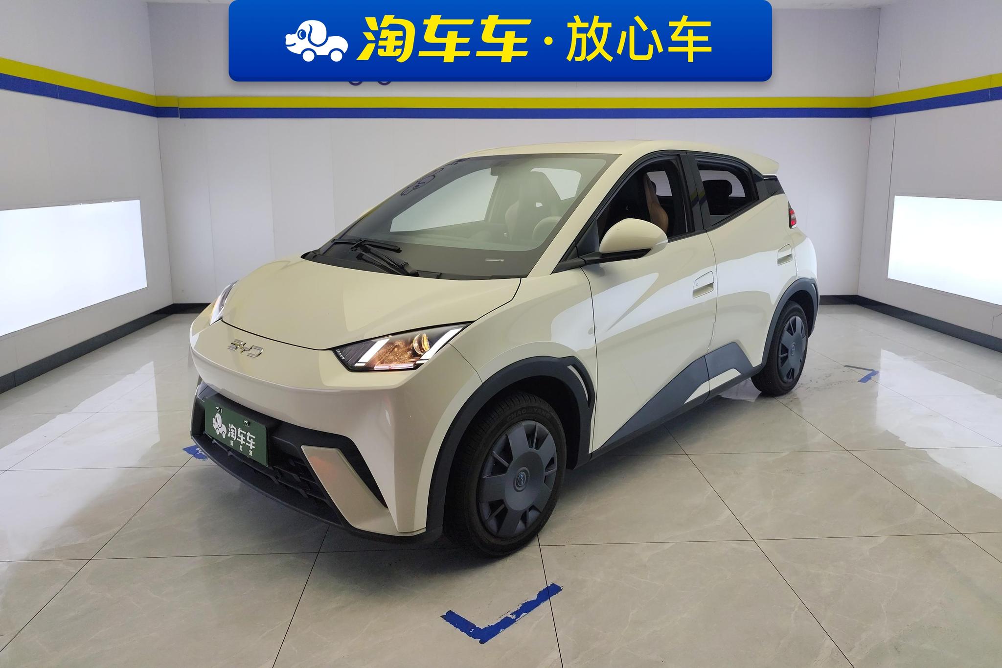 BYD Seagull