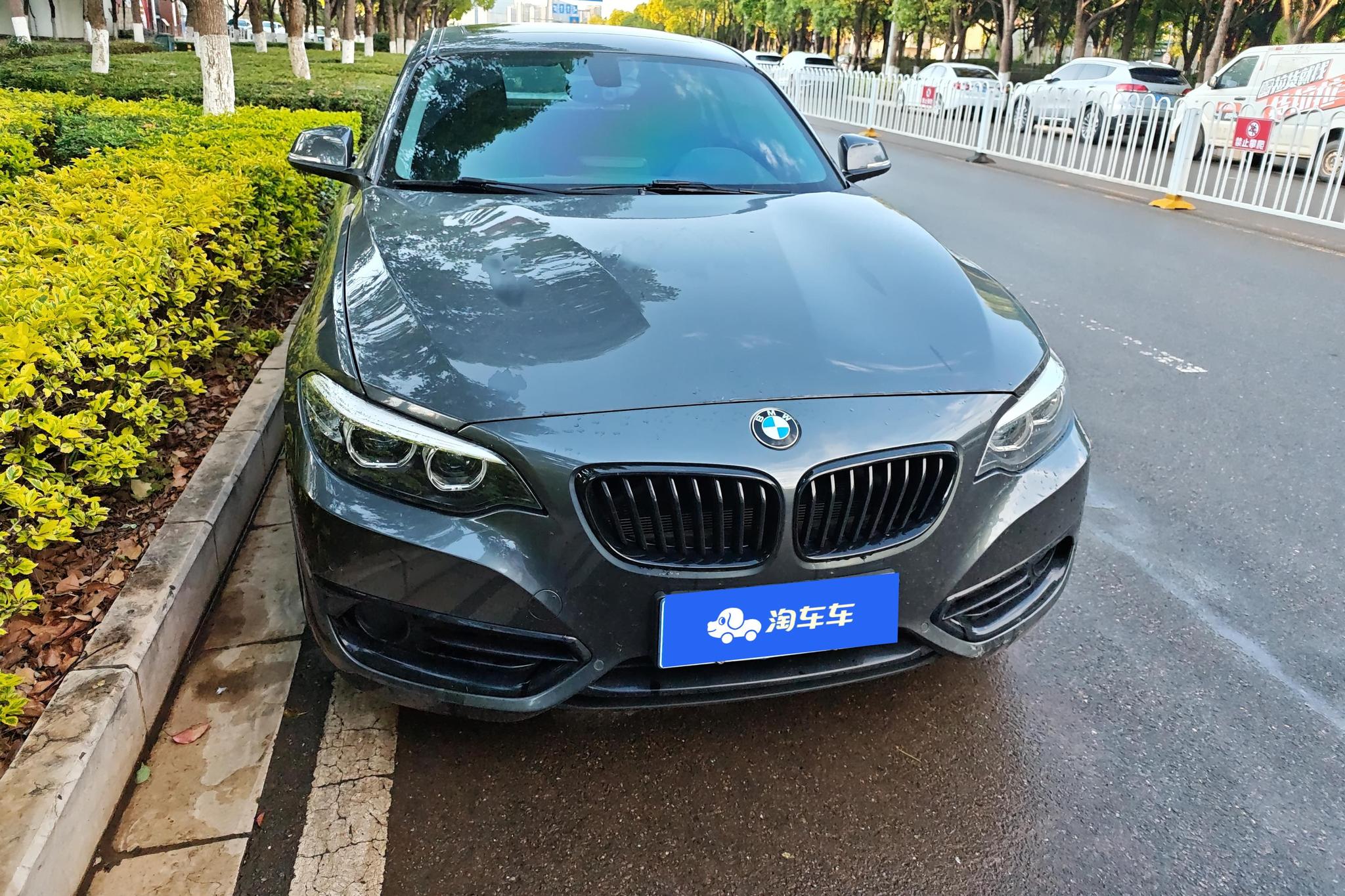 BMW 2 Series 2 2019 225i Sport