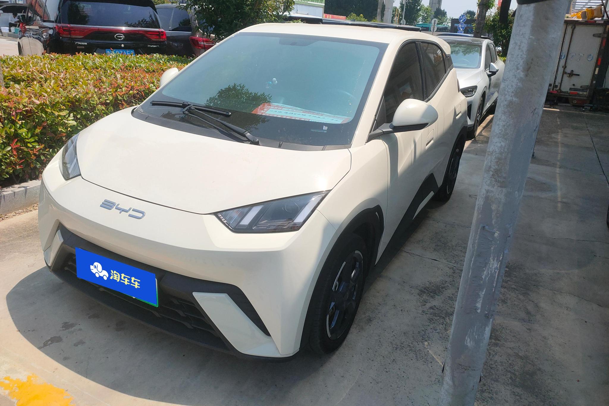 BYD Seagull