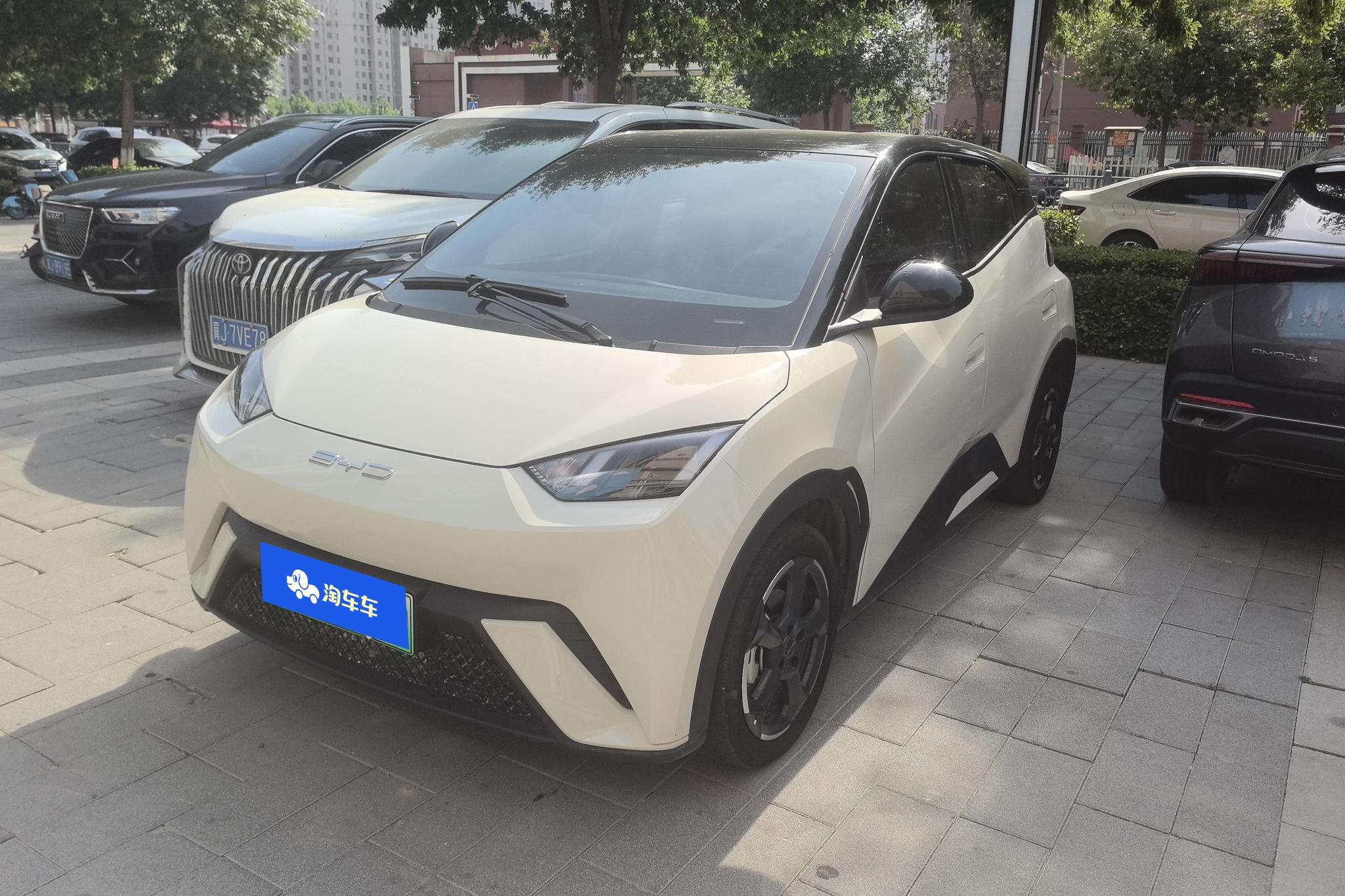 BYD Seagull