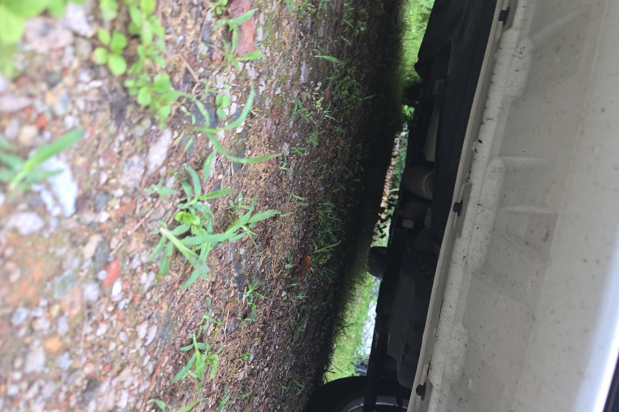 Roewe i5 2020 1.5L AT 4G