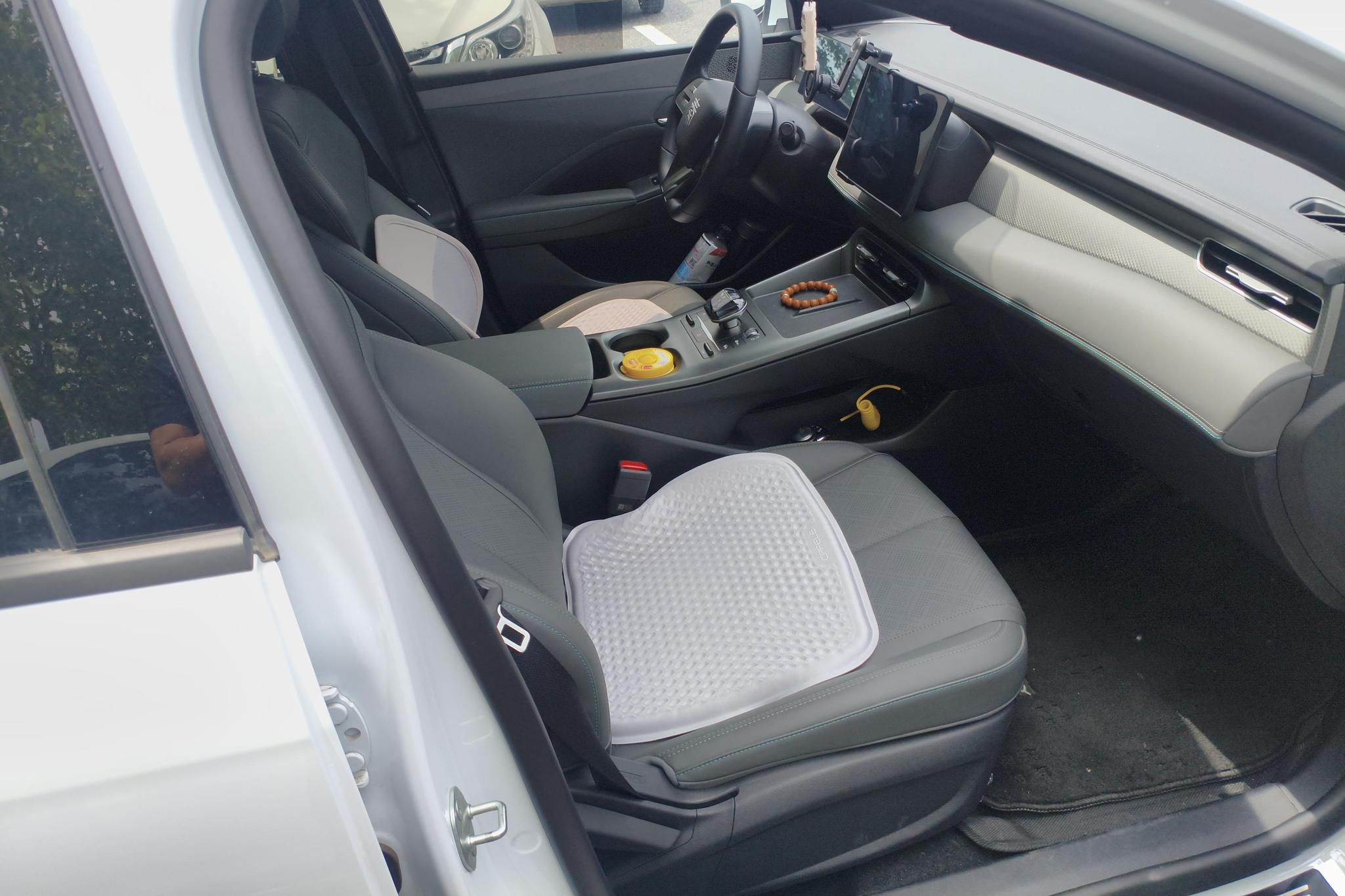 BYD Qin Plus DM-i PLUS DM 2025 Smart Drive DM-i 55KM Lead
