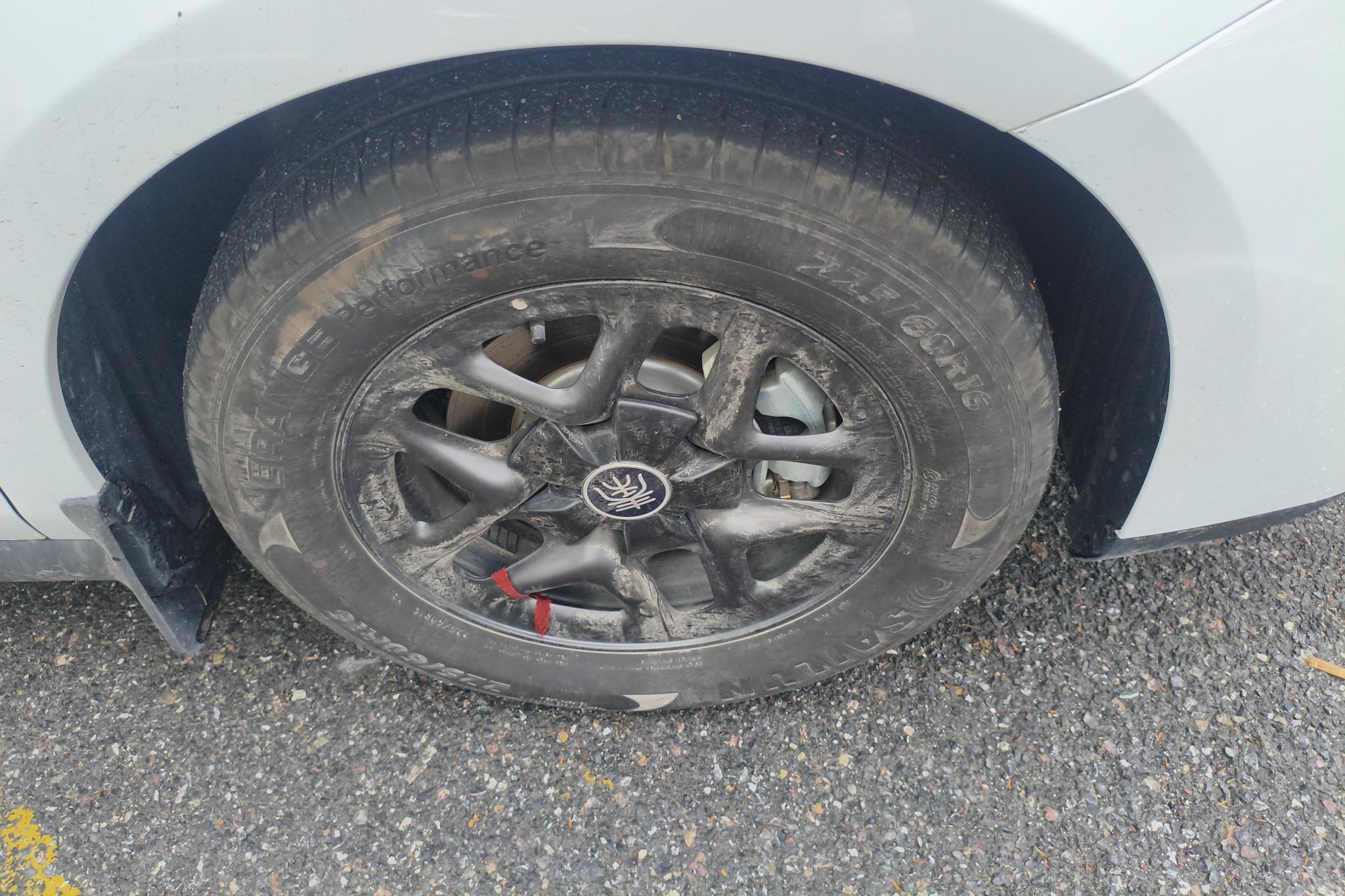 BYD Qin Plus DM-i PLUS DM 2025 Smart Drive DM-i 55KM Lead