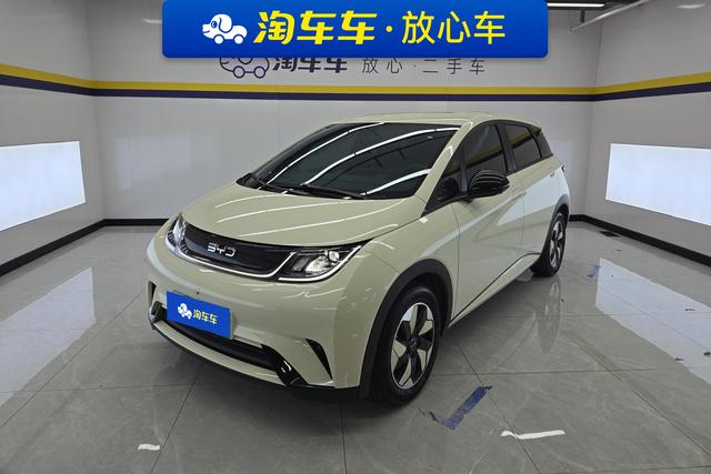 2025 BYD Dolphin