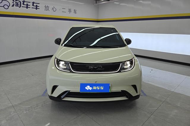 2025 BYD Dolphin thumbnail 2