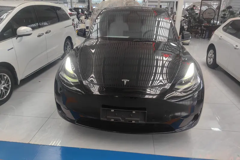 Tesla Model Y — фото 2