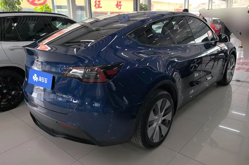 Tesla Model Y — фото 3