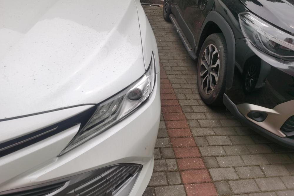 2019 Toyota Camry thumbnail 12