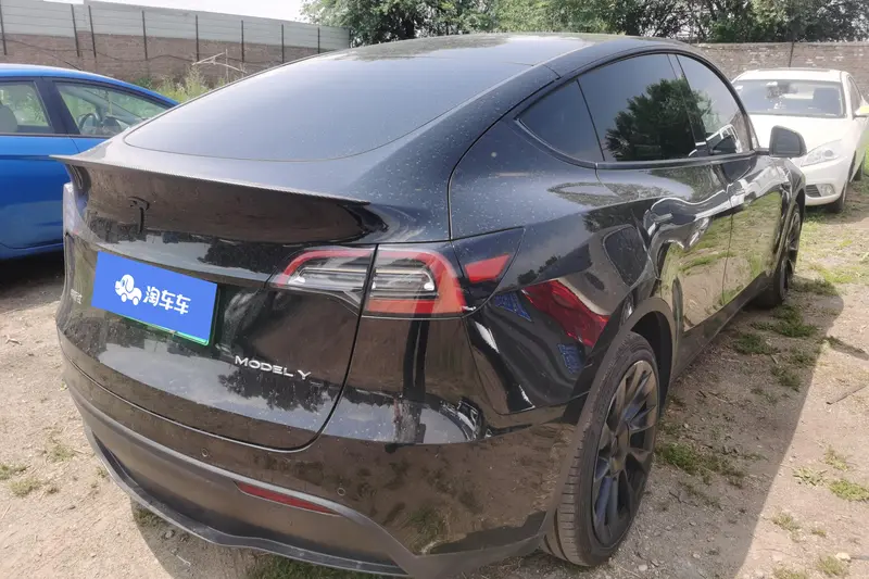 Tesla Model Y — фото 3