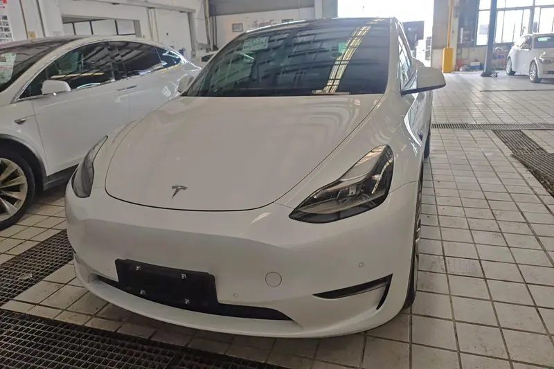 Tesla Model Y — фото 2