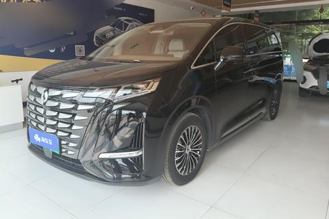 DENZA D9 DM