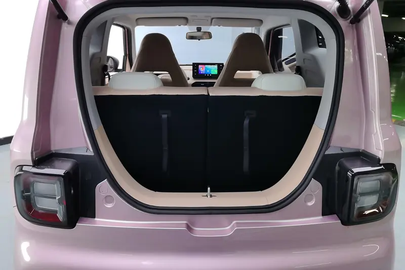 Geely Galaxy Panda 200km Pandamini — фото 10