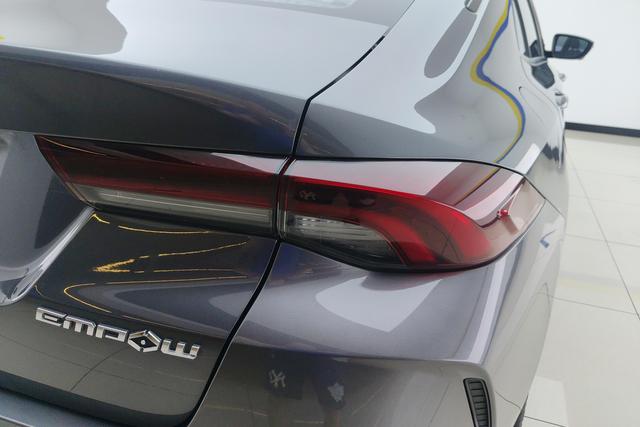 Gac Trumpchi Shadow Leopard 2021 — фото 6