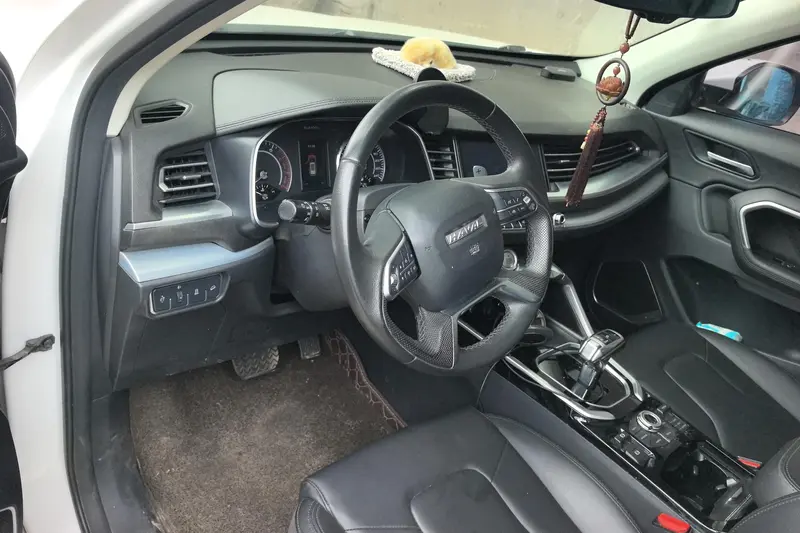 Haval H 6 2.0 T AT 2 WD — фото 4