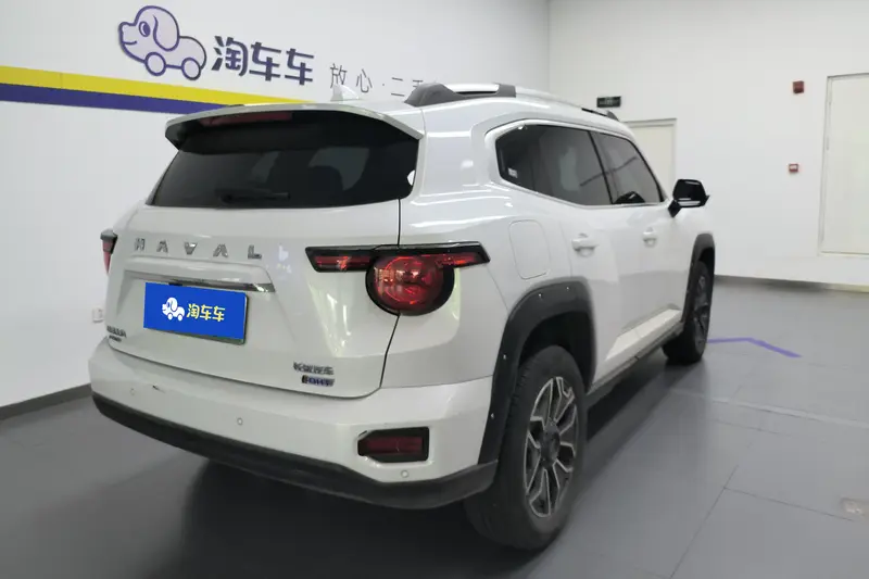 Haval Dargo Plus — фото 3