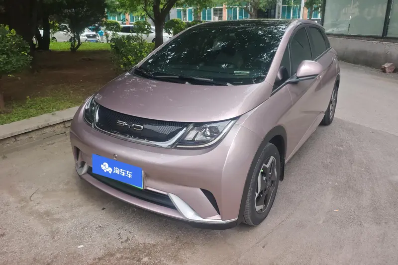BYD Dolphin