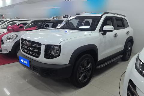 Haval Big Dog