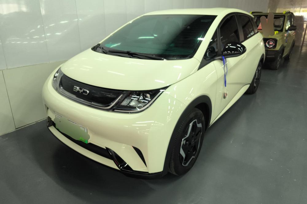 BYD Dolphin