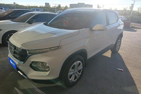 Baojun 510