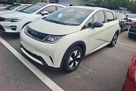 BYD Dolphin, 2024 год