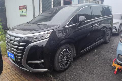 DENZA D9 DM