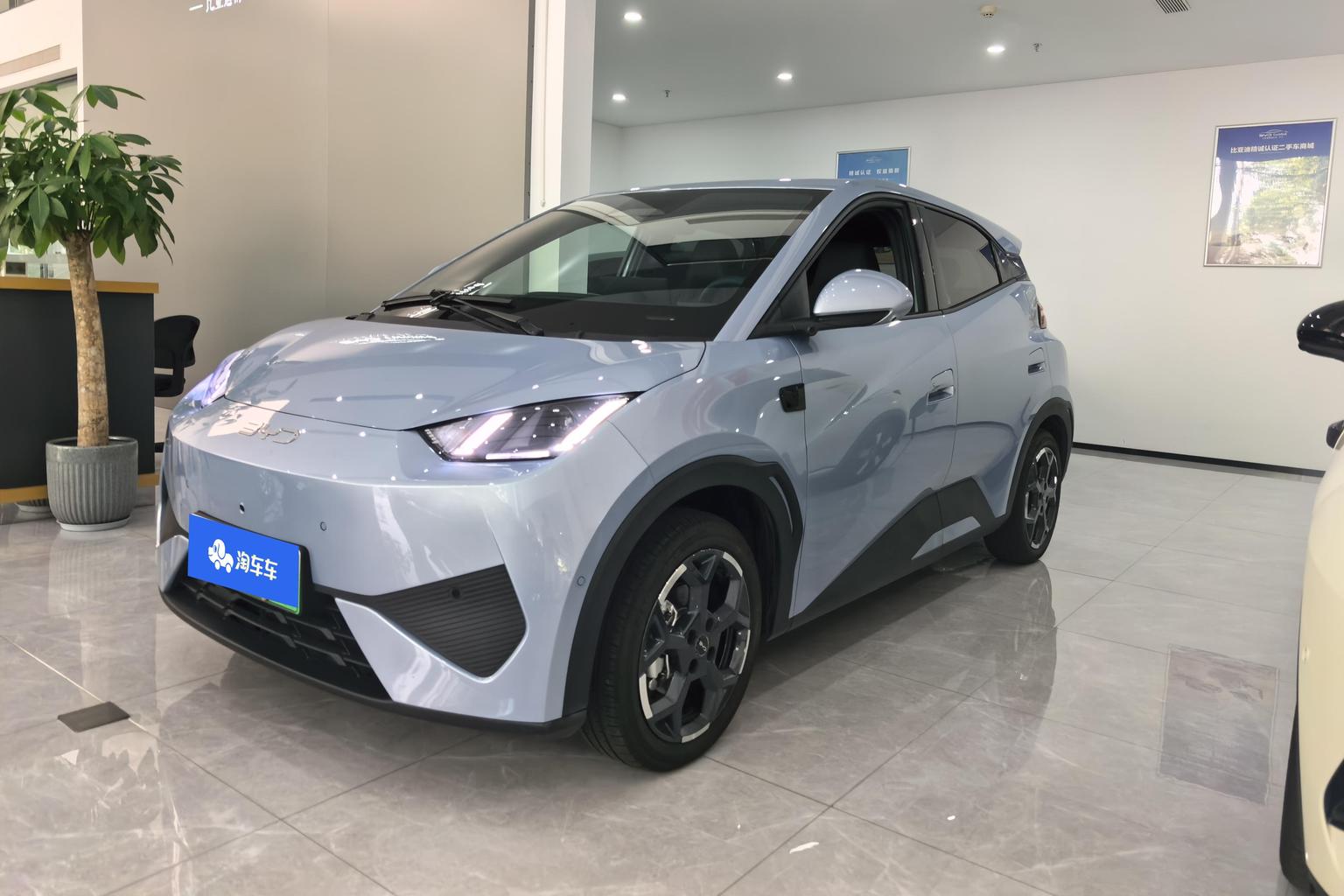 BYD Seagull 2025 Smart Drive 305KM Freedom