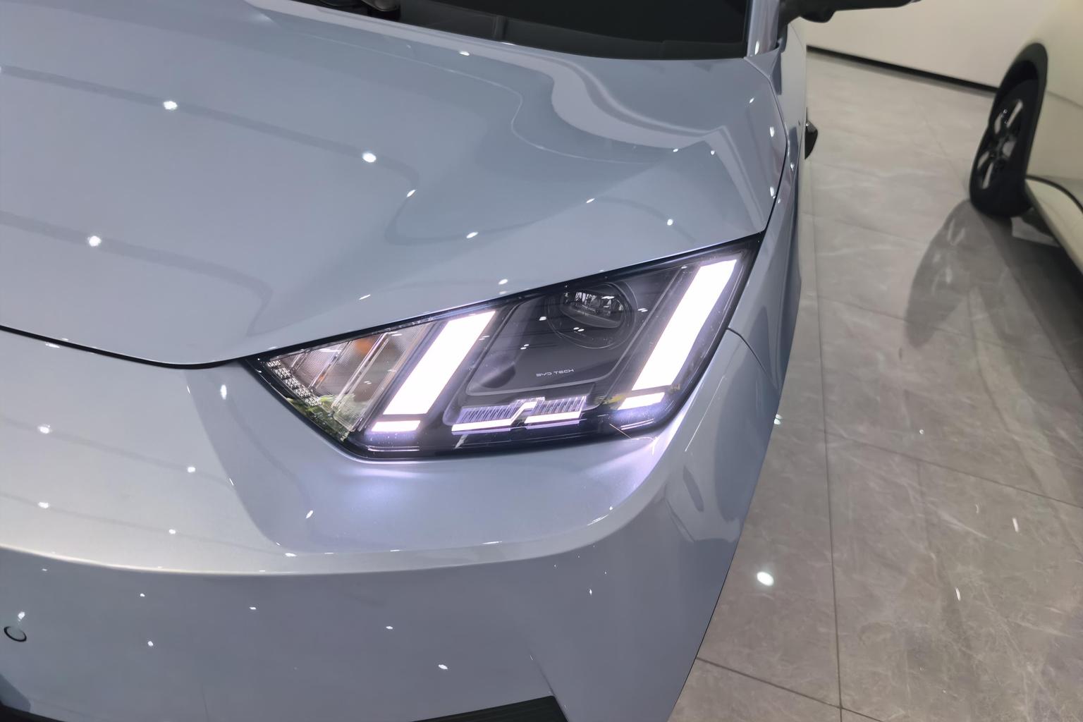 BYD Seagull 2025 Smart Drive 305KM Freedom