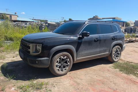 Haval Big Dog