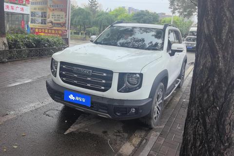 Haval Big Dog