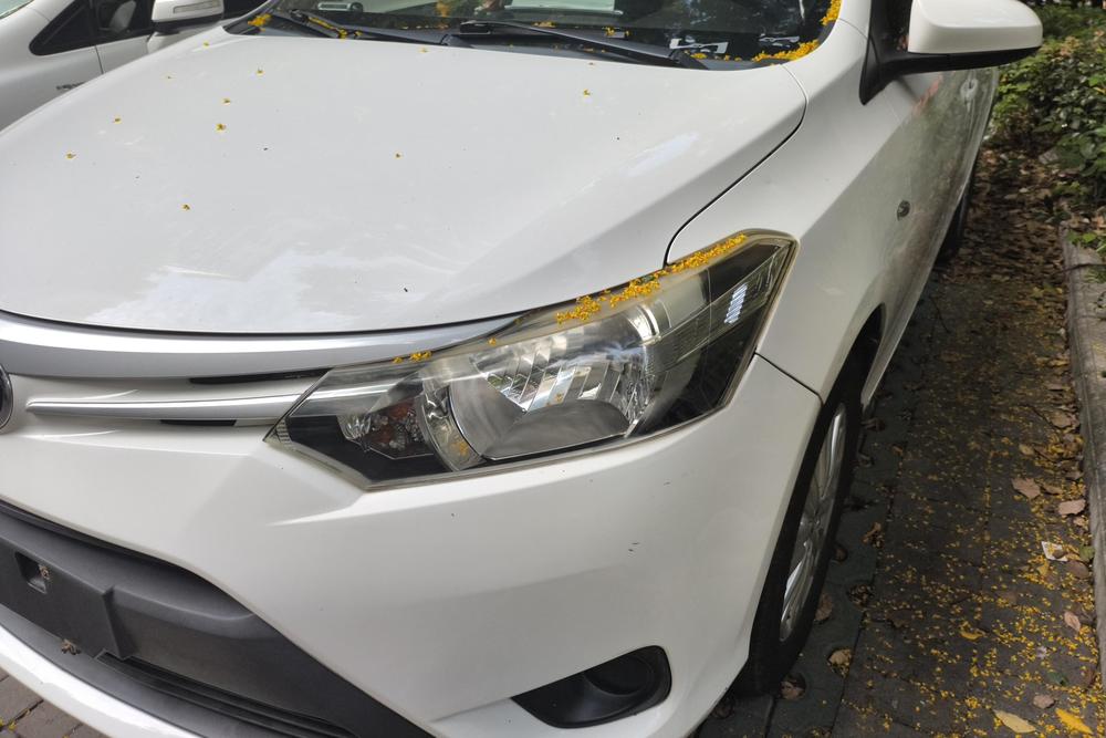 Toyota Vios, фото 5