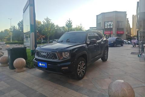 Haval Big Dog PLUS 2023 2.0T полноприводная модная версия Plus