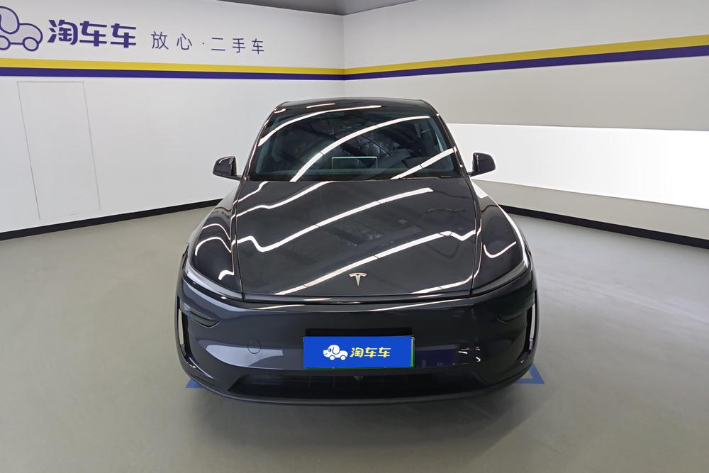 Tesla Model Y, фото 2