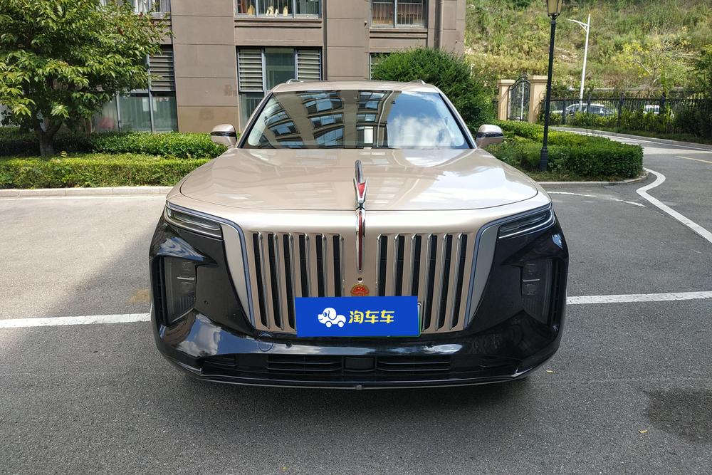 Hongqi E-HS9, фото 2