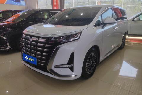 DENZA D9 DM