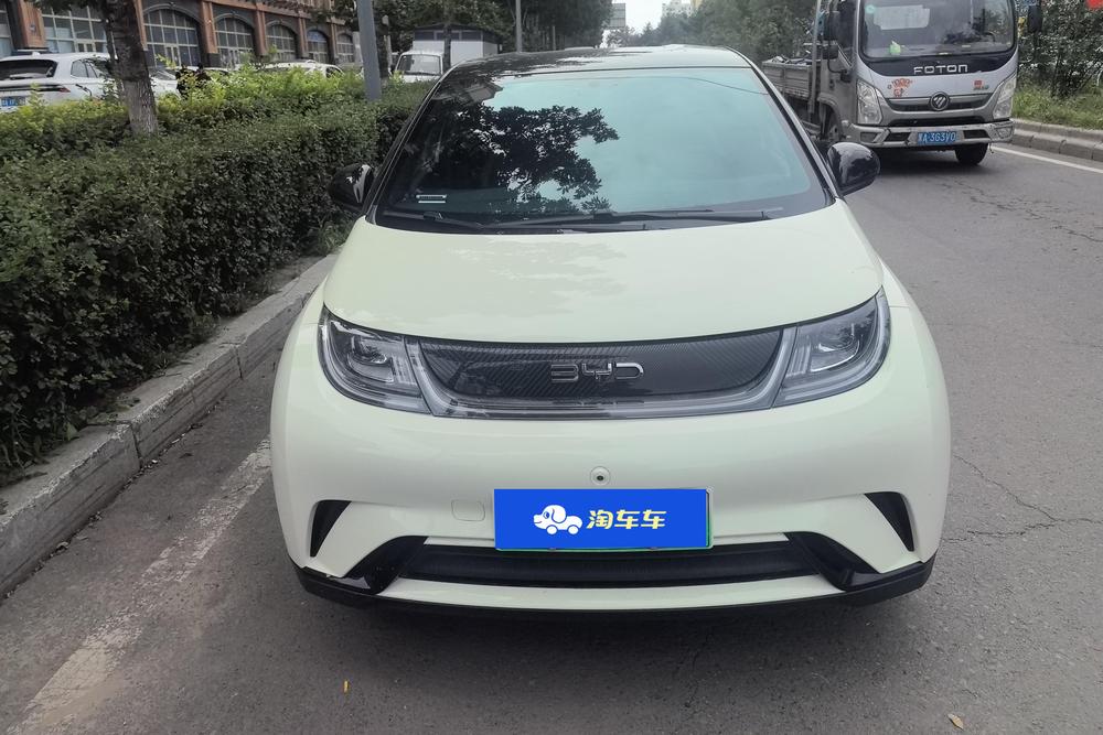 BYD Dolphin, фото 2