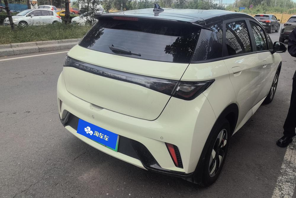 BYD Dolphin, фото 3