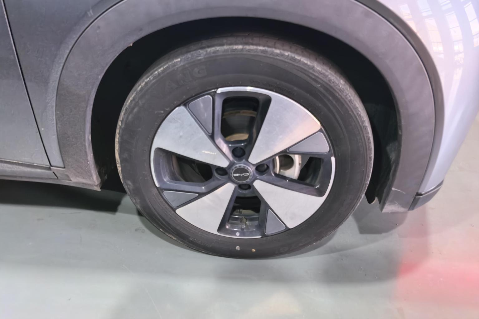 BYD Dolphin 2023 Fashion