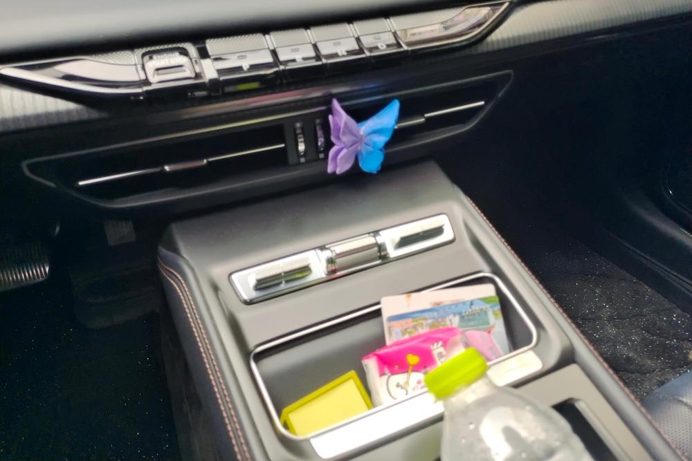 Lincoln Z, фото 12