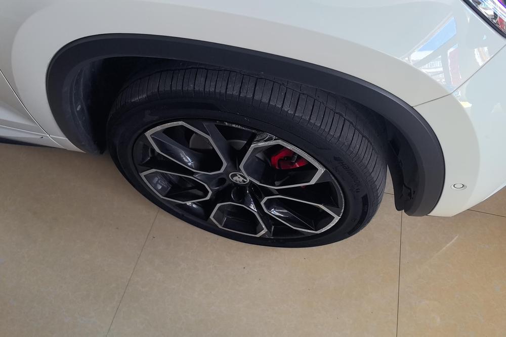 Skoda Kodiaq GT, фото 8