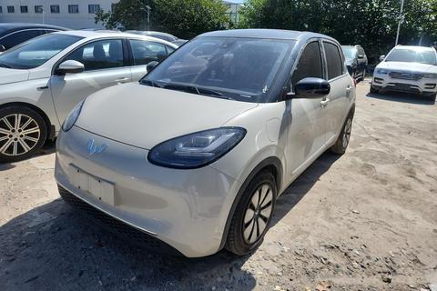 Wuling Binguo