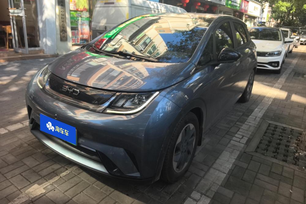 BYD Dolphin