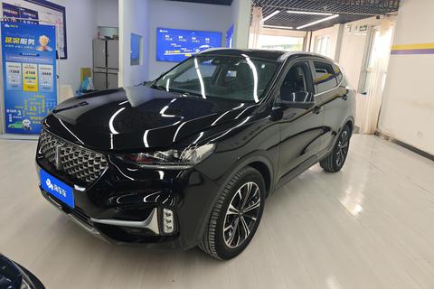 WEY VV6