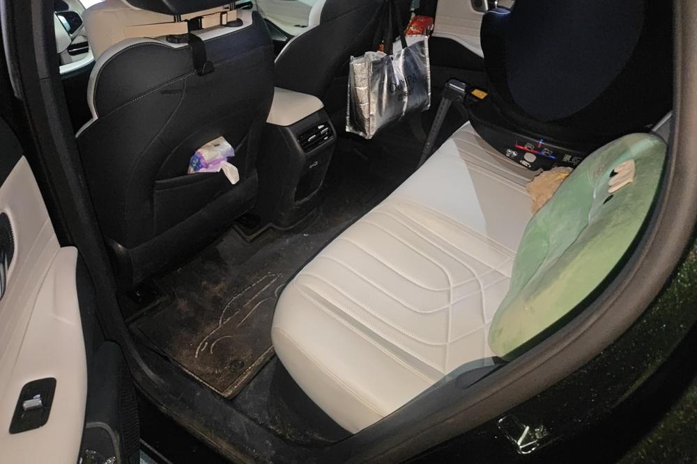 Geely Galaxy Starship 7 EM-i, фото 16