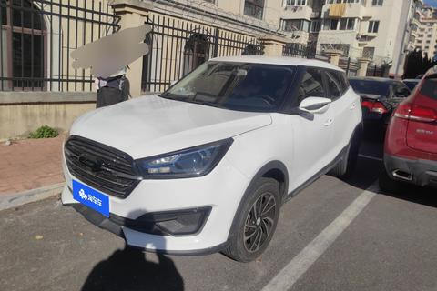 Zotye T300