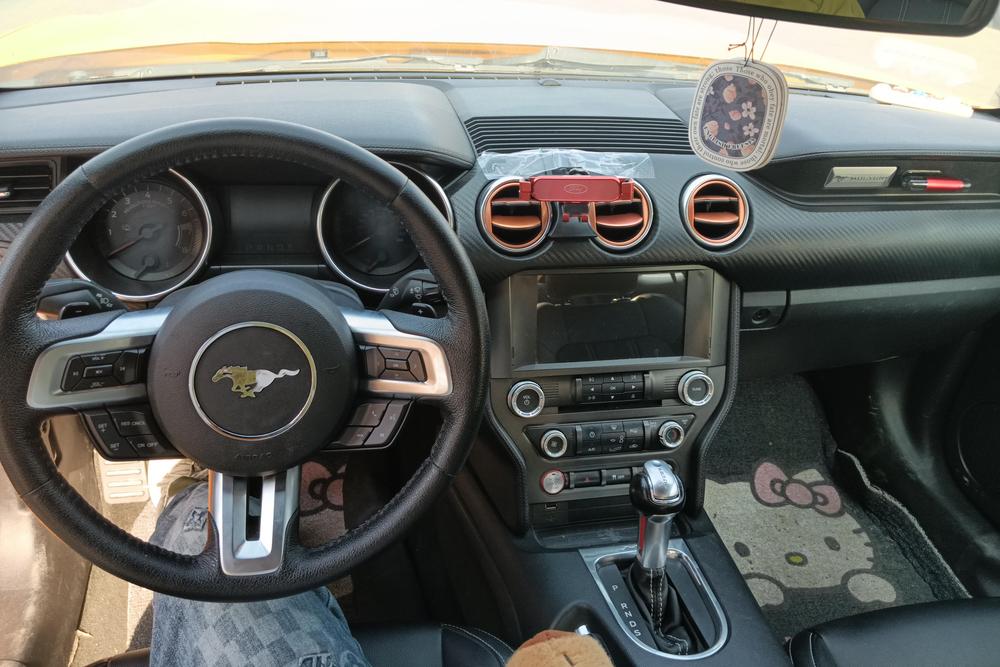 Ford Mustang, фото 12