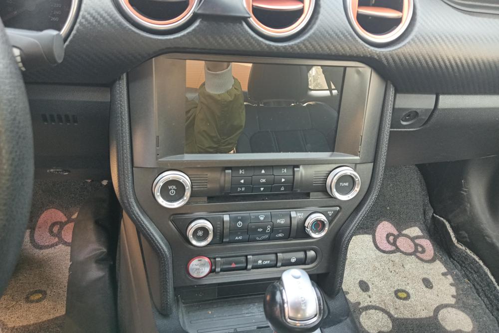 Ford Mustang, фото 11