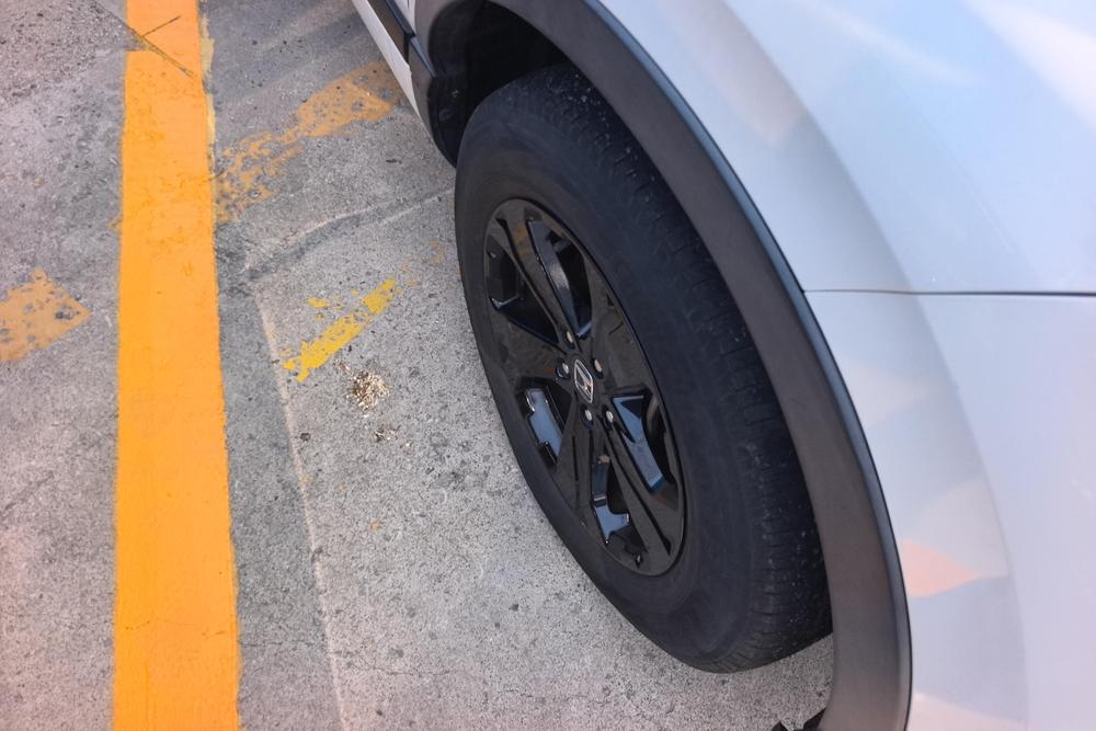 Honda Breeze, фото 9