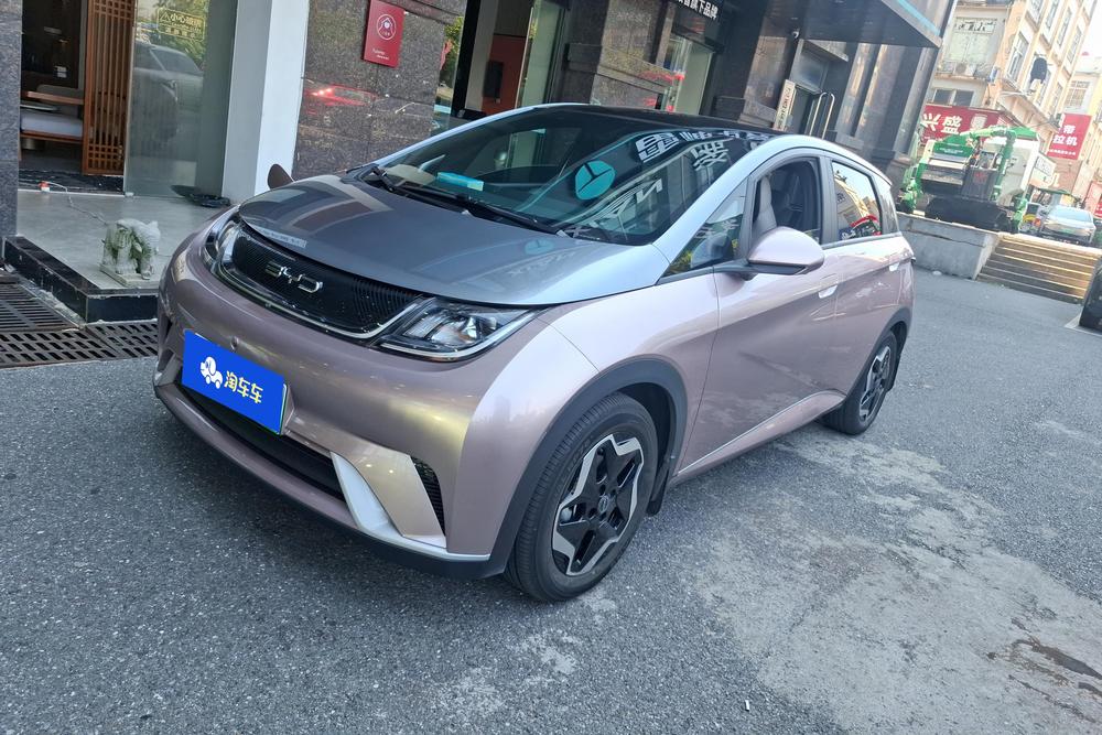 BYD Dolphin