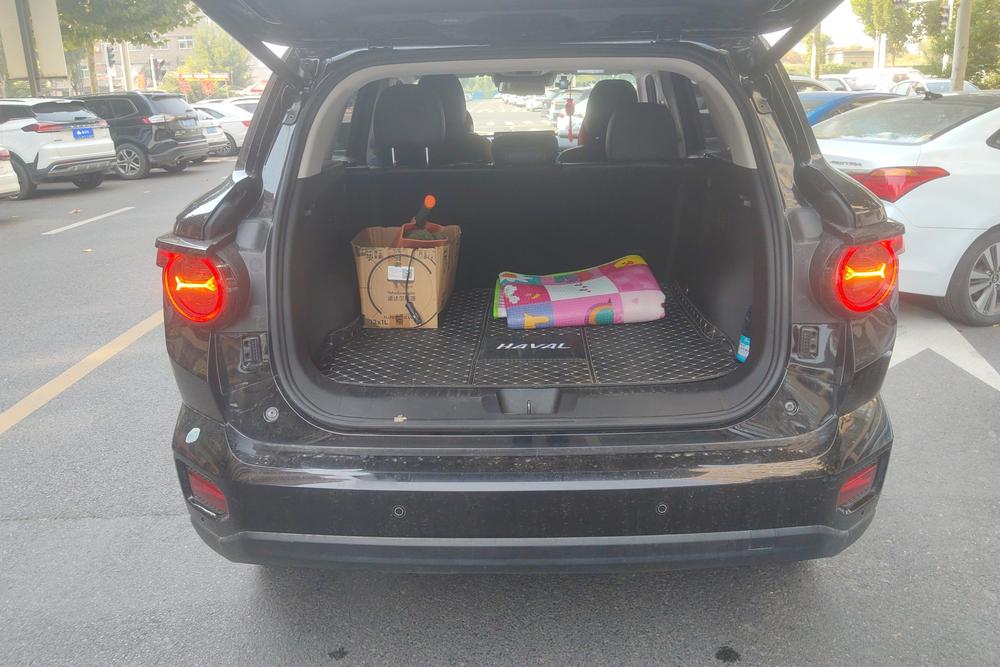 Haval Big Dog PLUS, фото 3