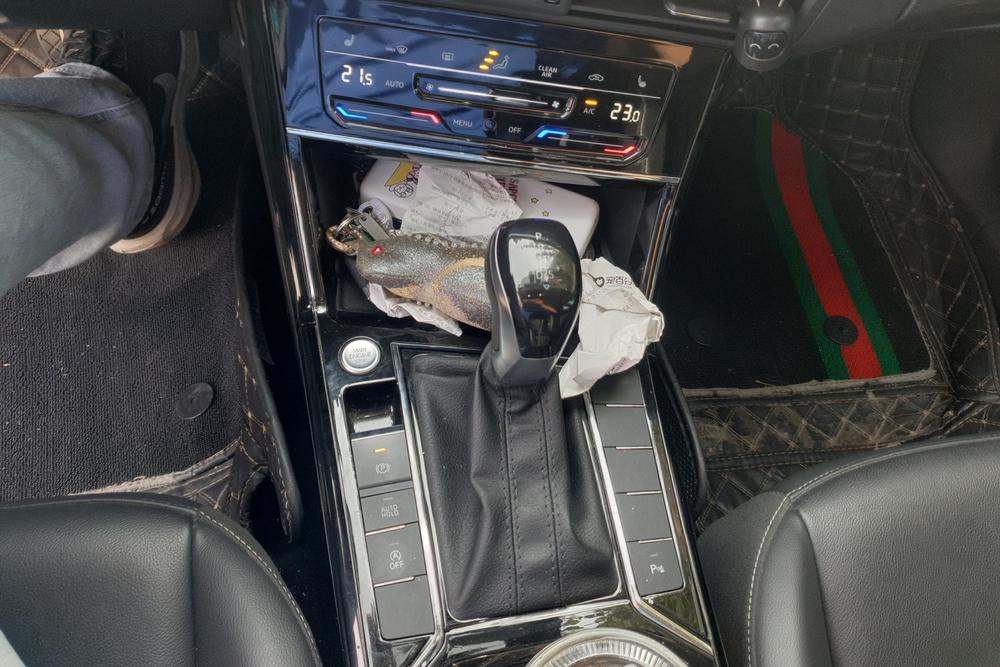 Volkswagen Passat, фото 15
